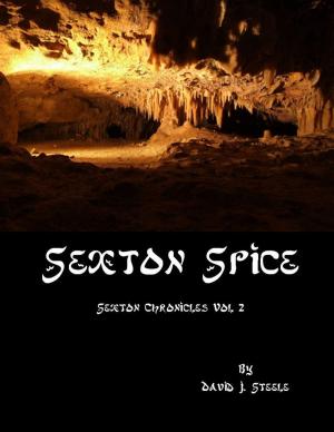 Cover of Sexton Spice (Sexton Chronicles, vol. 2) by David J. Steele, David J. Steele