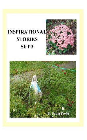 Cover of Inspirational Stories: Set 3