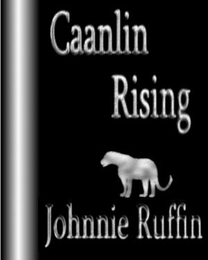 Cover of the book Caanlin Rising by Rebecca Toman