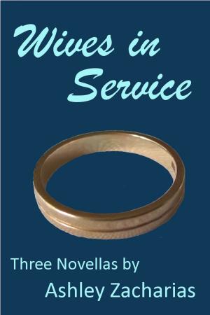 Book cover of Wives in Service