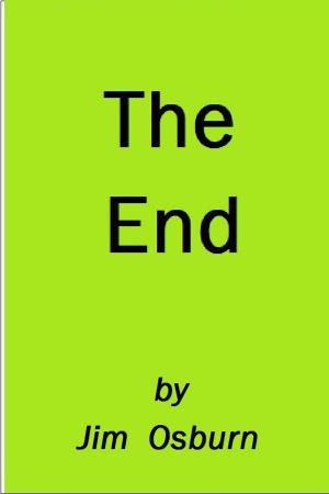 Cover of the book The End by Richard Black