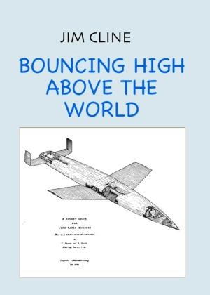 Book cover of Bouncing High Above the World