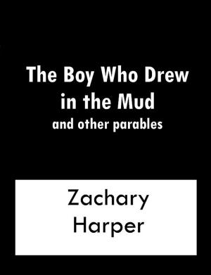 Book cover of The Boy Who Drew In The Mud and other parables