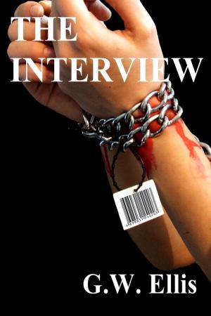 Cover of the book The Interview by Salubrious Farlight