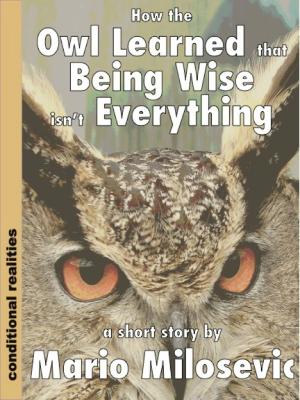 Cover of the book How the Owl Learned that Being Wise isn’t Everything by Kim Antieau