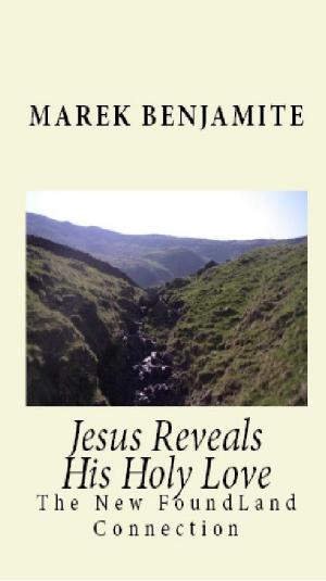 Book cover of Jesus Reveals His Holy Love, The New FoundLand Connection