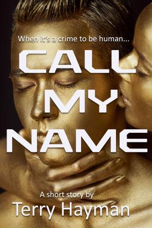 Cover of the book Call My Name by Terri Darling