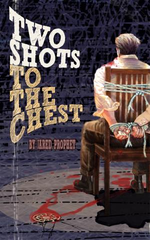 Cover of the book Two Shots to the Chest by AB Stonebridge