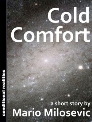 Cover of the book Cold Comfort by Kim Antieau