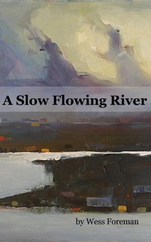 Book cover of A Slow Flowing River