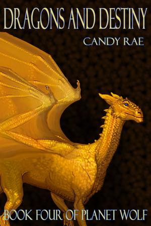 Cover of the book Dragons and Destiny by Tansy Rayner Roberts
