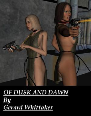 Book cover of Of Dusk and Dawn