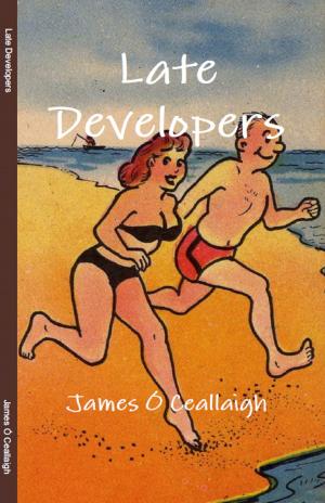 Cover of the book Late Developers by John Sloop Biederman
