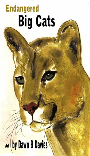 Cover of the book Endangered Big Cats by Dawn B Davies
