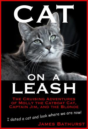 Cover of the book Cat On A Leash by Lacey Lord