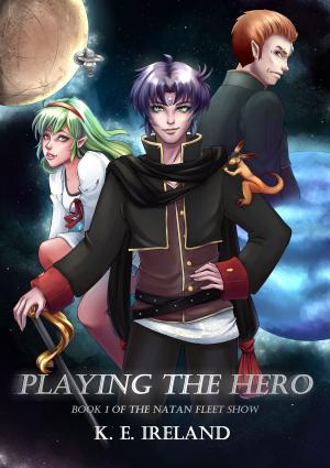 Book cover of Playing the Hero