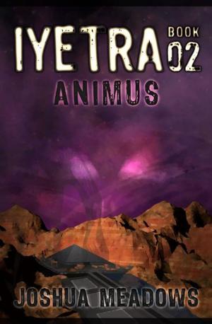 bigCover of the book Iyetra - Book 02: Animus by 