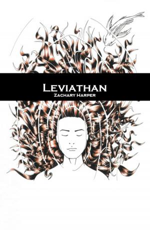 Cover of the book Leviathan by Michael C. Madden
