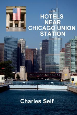 Cover of the book Hotels Near Chicago Union Station by Jon Schafer
