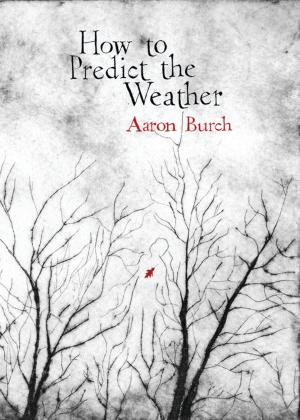 Book cover of How to Predict the Weather