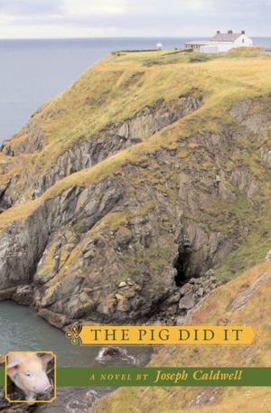 Cover of the book The Pig Did It by David V. Forrest, MD