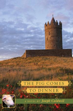 Cover of the book The Pig Comes to Dinner by Helen Strahinich