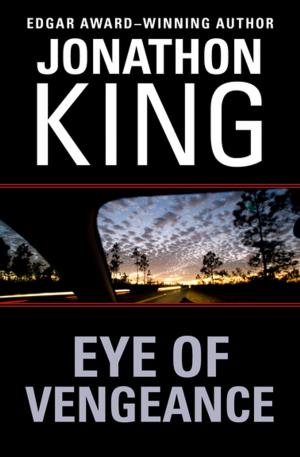 Book cover of Eye of Vengeance