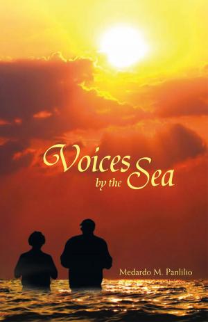 Cover of the book Voices by the Sea by Phyllis A. Hemphill