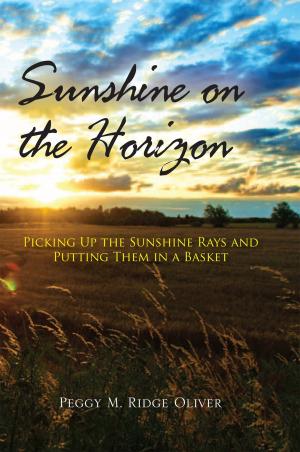 Cover of the book Sunshine on the Horizon by Holt Clarke