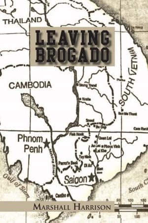 Cover of the book Leaving Brogado by J. Risdal