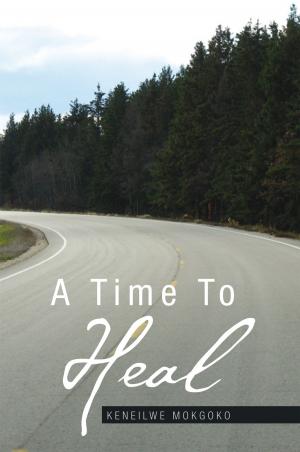 Cover of the book A Time to Heal by Polly Paice