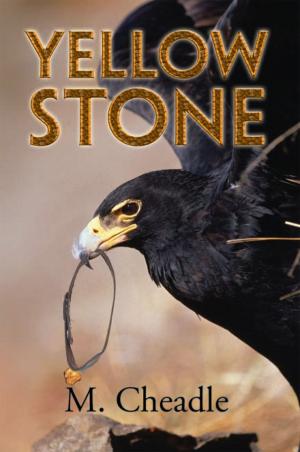 Cover of the book Yellow Stone by Marchela Wells