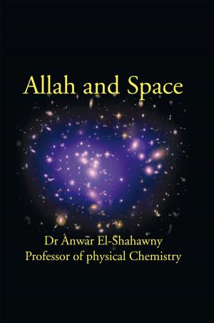 Cover of the book Allah and Space by Alexandra Milon, Alexandru Acsinte, Eftene Alexandru, Lucian Lupescu