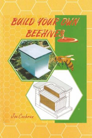 Cover of the book Build Your Own Beehives by Bruce Holdt