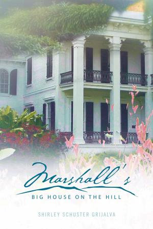 Cover of the book Marshall's Big House on the Hill by Claire S. Cabot