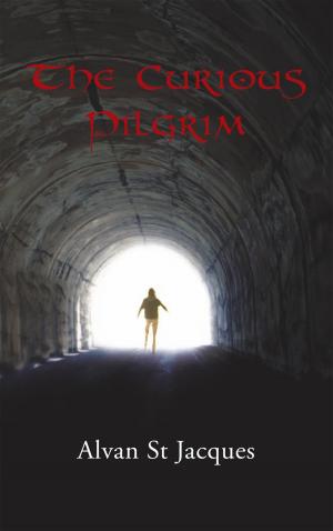 Cover of the book The Curious Pilgrim by Jeff Hockenheimer