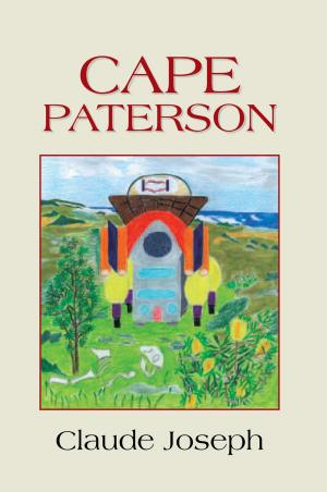 Cover of the book Cape Paterson by Anita R Gibbons
