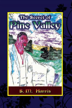 bigCover of the book The Secret of Pine Valley by 