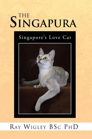 Cover of the book The Singapura by Kelebogile Molopyane