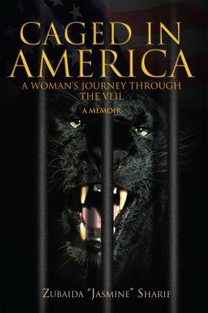 Cover of the book Caged in America by Gillie Haynes