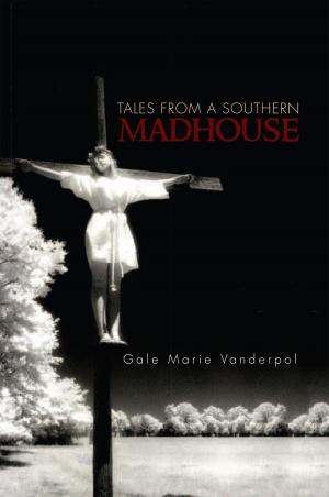Cover of the book Tales from a Southern Madhouse by Edith Lamb