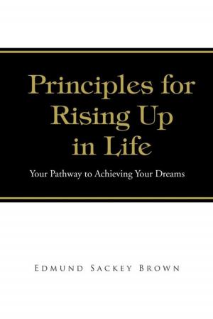 Cover of the book Principles for Rising up in Life by Anthony S Farah