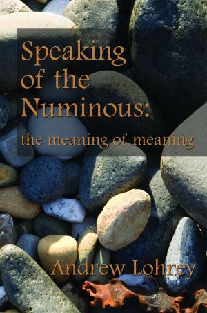 Cover of the book Speaking of the Numinous: the meaning of meaning by Douglas C. A. Paula
