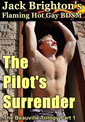 Cover of the book The Pilot's Surrender by Jack Brighton
