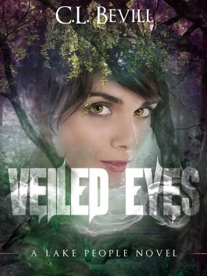 Cover of the book Veiled Eyes by DJ Huns