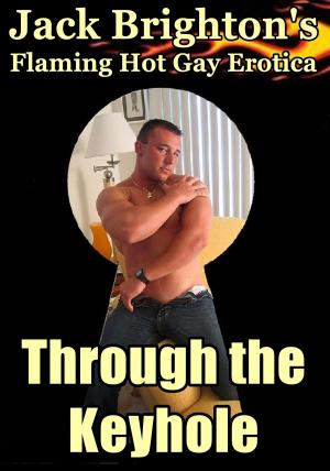 Cover of Through the Keyhole
