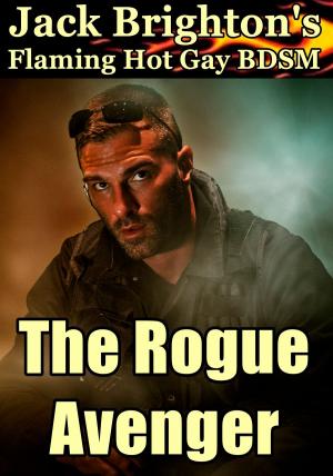 Book cover of The Rogue Avenger