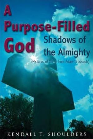 Cover of A Purpose-Filled God: Shadows of the Almighty