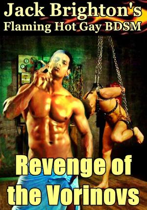 Book cover of Revenge of the Vorinovs