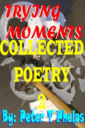 Cover of Trying Moments